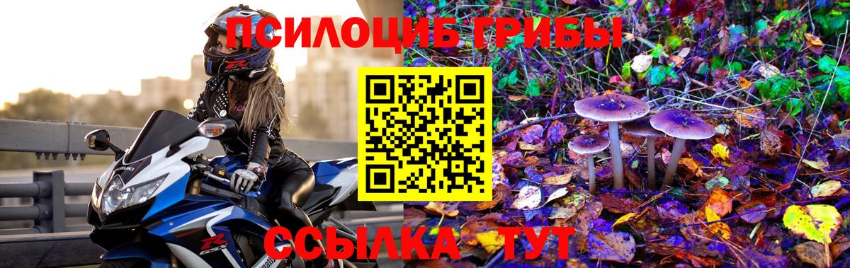 Галлюциногенные грибы MAGIC MUSHROOMS Кандалакша