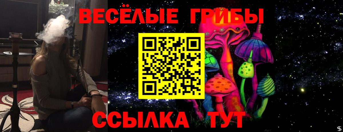 Псилоцибиновые грибы Psilocybine cubensis  Вход с VPN  закладка  Кандалакша 